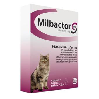 images/productimages/small/milbactor-grote-kat-4.jpg