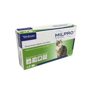 Milpro Grote Kat  <br> 40 tabletten
